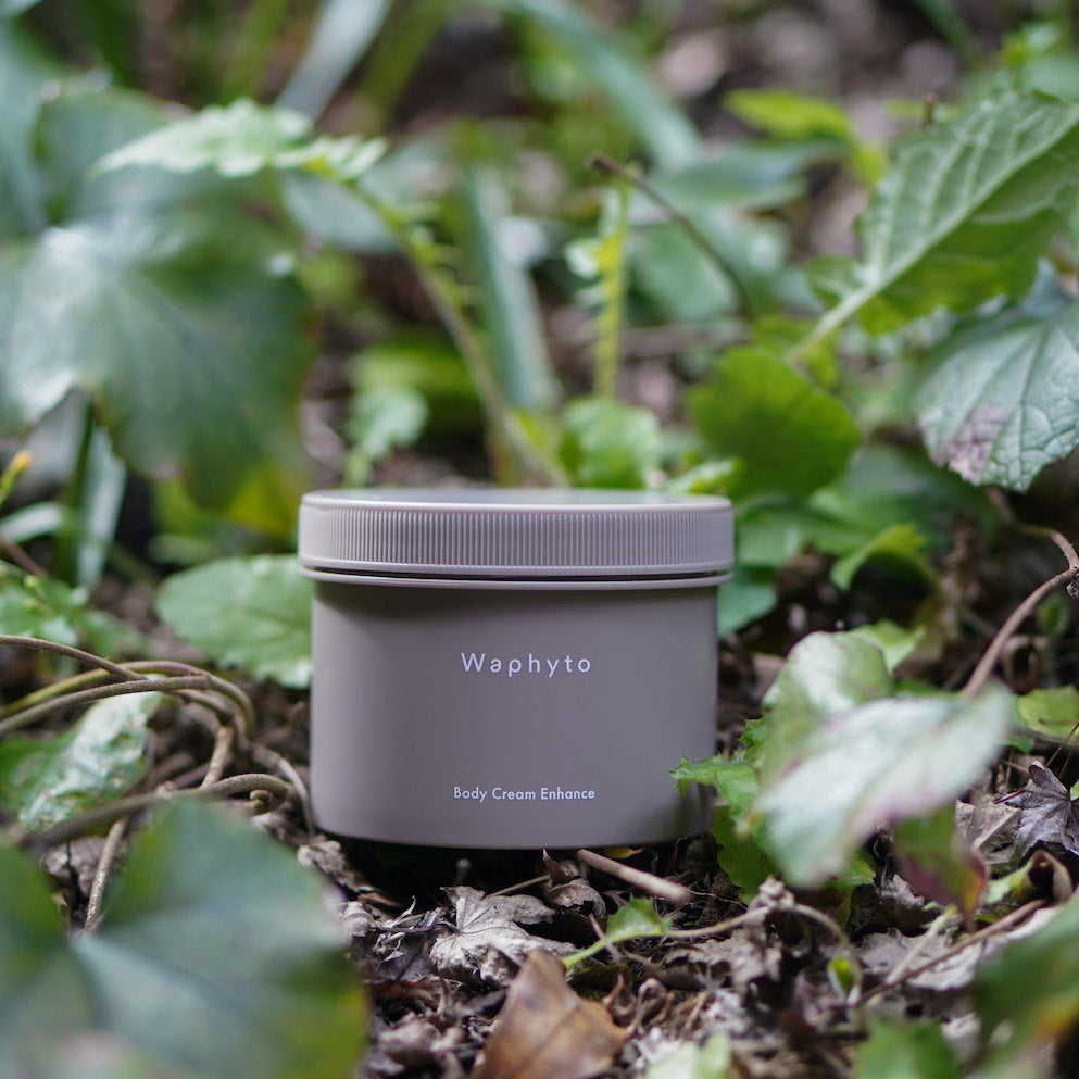 Waphyto (ボディクリーム エンハンス)
