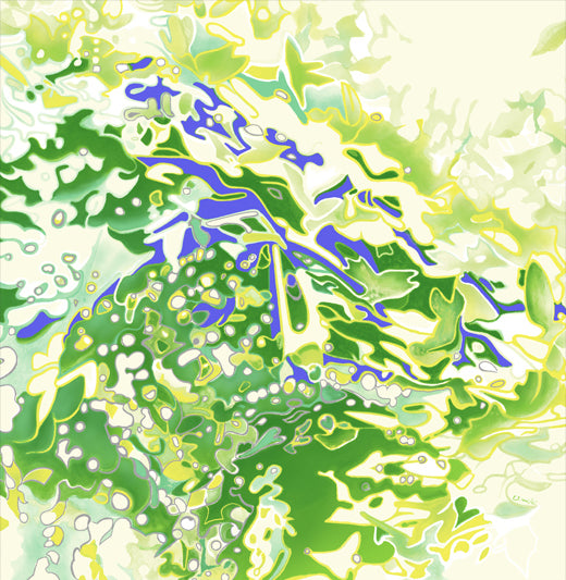 綿100%・グリーンシャワーの風呂敷|70×70cm