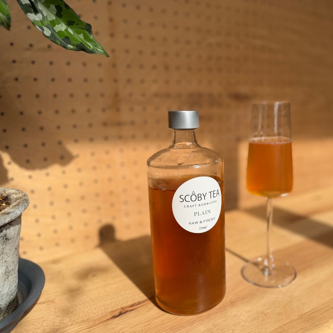 SCOBY TEA 720ml 生コンブチャ スコビーティー