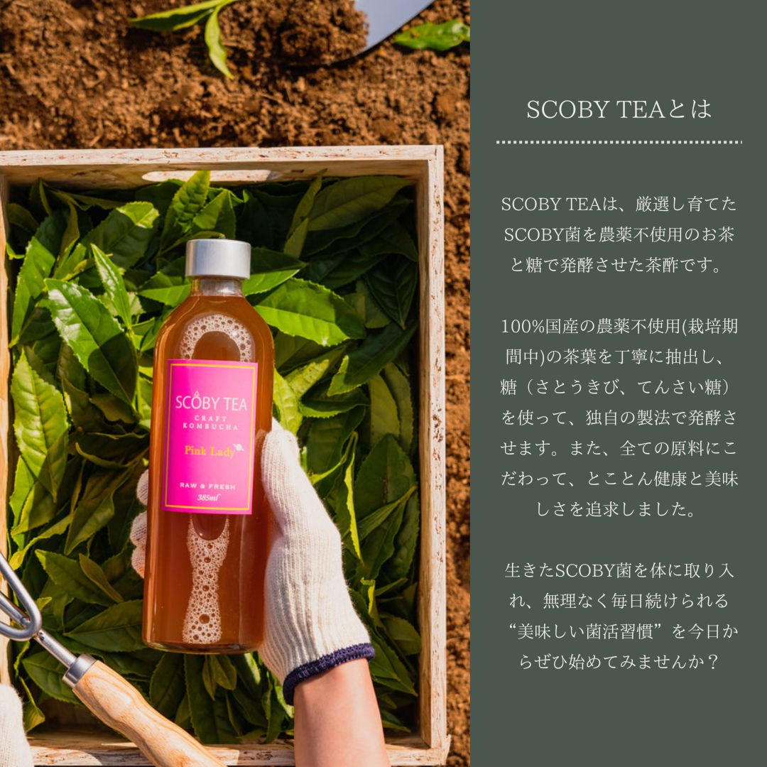 Soby Tea 【販売休止中】SCOBY TEA 720ml 生コンブチャ スコビーティー – LILOCLE(リロクル)|エシカルな暮らしと商品を提案する通販サイト